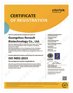  ISO 9001 