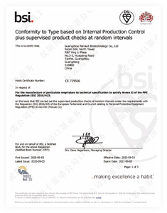  BSI CE 